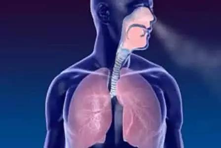 銀川伊百盛生物工程有限公司 銀川伊百盛生物工程有限公司
