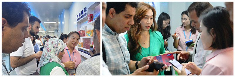 銀川伊百盛生物工程有限公司 銀川伊百盛生物工程有限公司