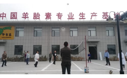 排球傳溫情，員工齊聚心